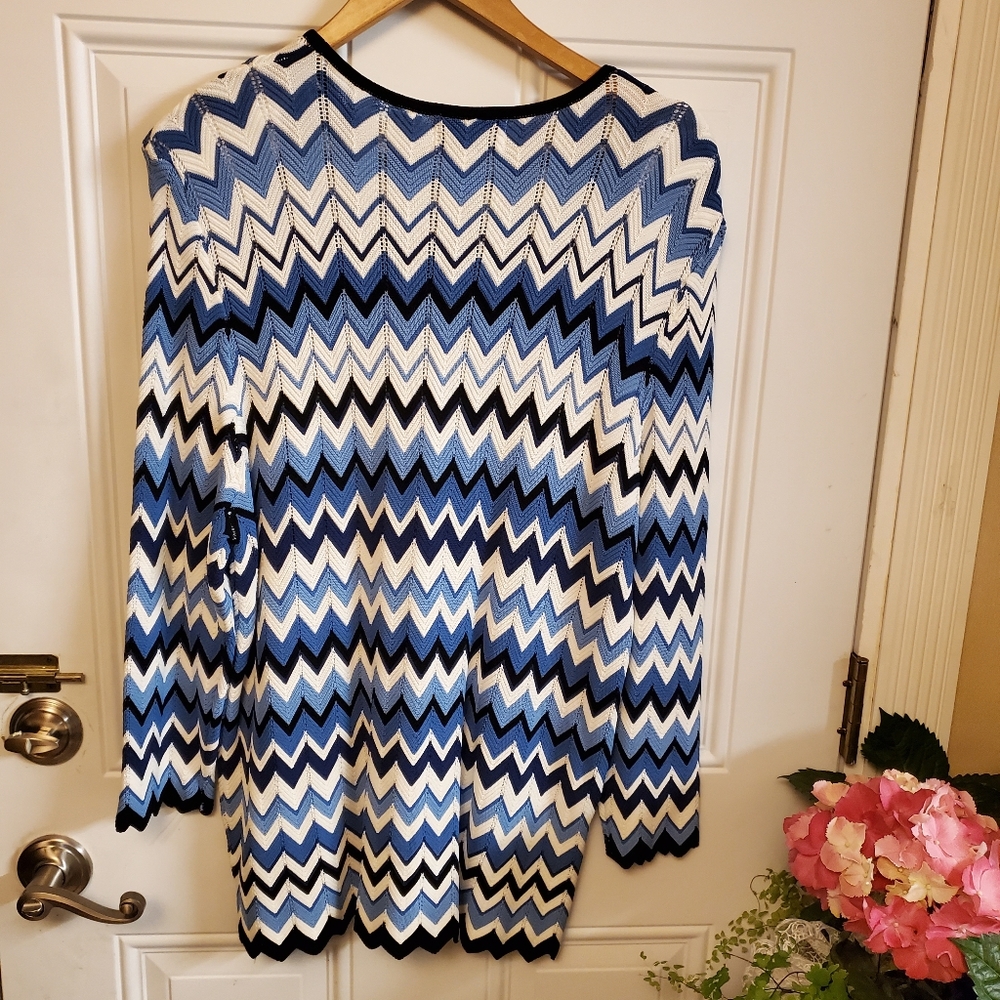 NWOT  Tunic blouse